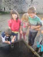 img_4840 img_4840